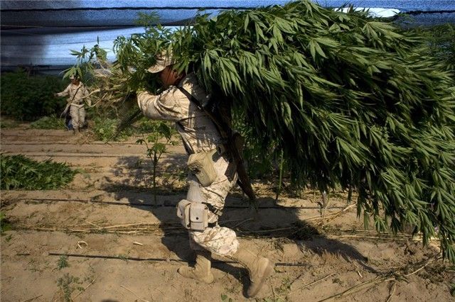 墨西哥联赛火拼早已开启激情